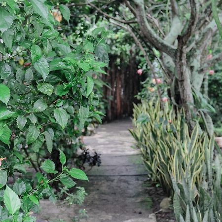 Tiara Homestay Plambi Εξωτερικό φωτογραφία