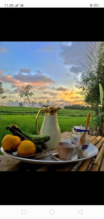 Tiara Homestay Plambi Εξωτερικό φωτογραφία