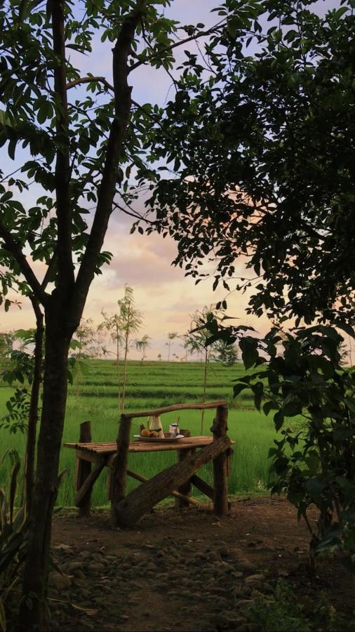 Tiara Homestay Plambi Εξωτερικό φωτογραφία