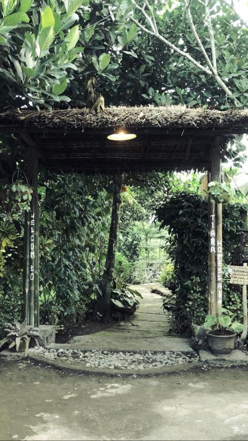 Tiara Homestay Plambi Εξωτερικό φωτογραφία