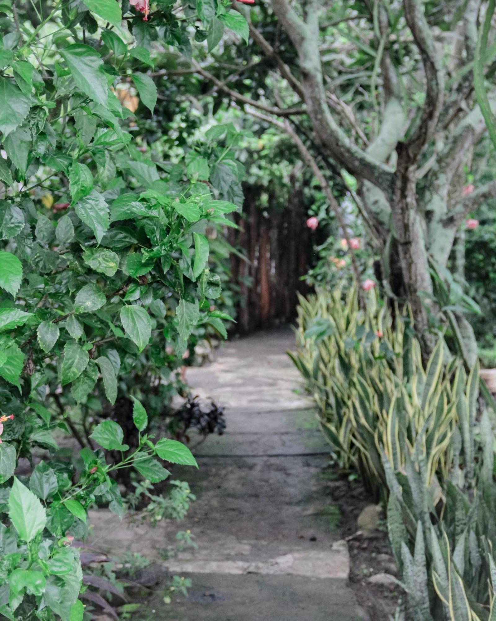 Tiara Homestay Plambi Εξωτερικό φωτογραφία